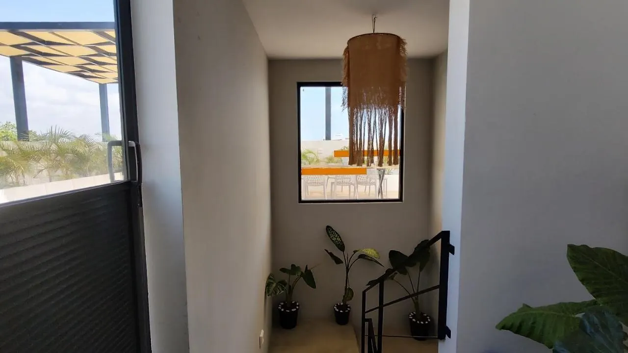 Amaite Living Apartment Playa del Carmen Mexico